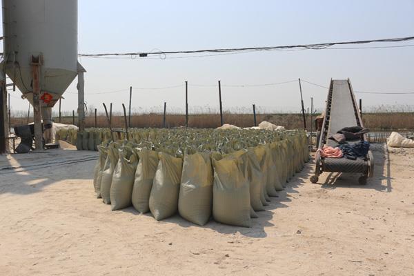 工廠(chǎng)一角1